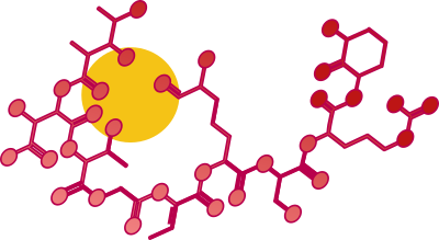 The molecular structure of delftibactin